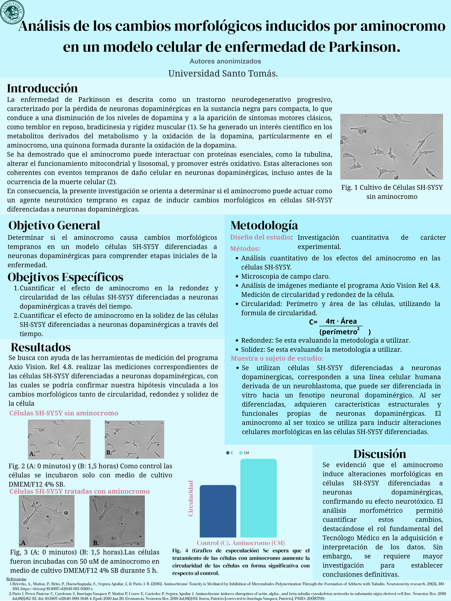 Póster sobre aminocromo y enfermedad de Parkinson