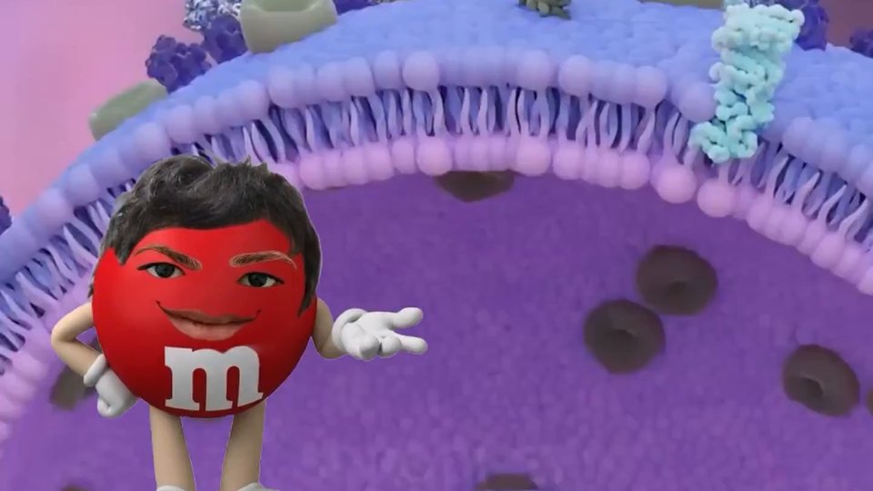 Video sobre hipercolesterolemia familiar